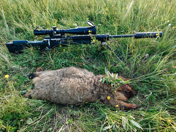 Охота на сурка: 710 метров