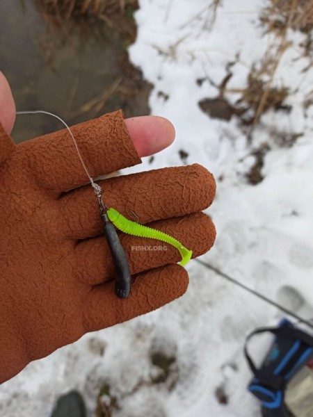 Зимний судак на спиннинг перед ледоставом