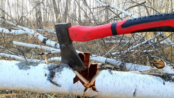 Весенние моменты Охоты!  *2023*