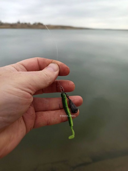 Правильный подбор приманки при ловле джигом – львиная доля успешной ловли