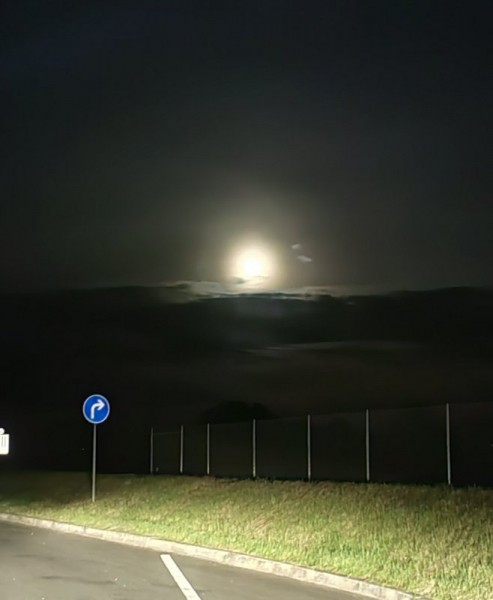 Охота за привидениями. Охота за привидениями.