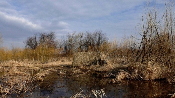 Хорошее утро! Хорошее утро!