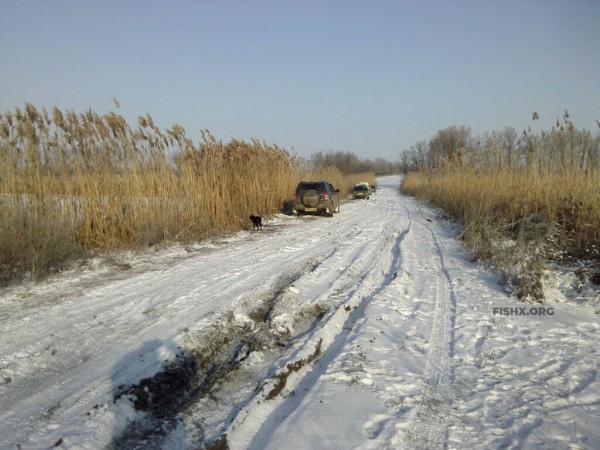 Ловля щуки жерлицами на бывшем колхозном пруду Ловля щуки жерлицами на бывшем колхозном пруду