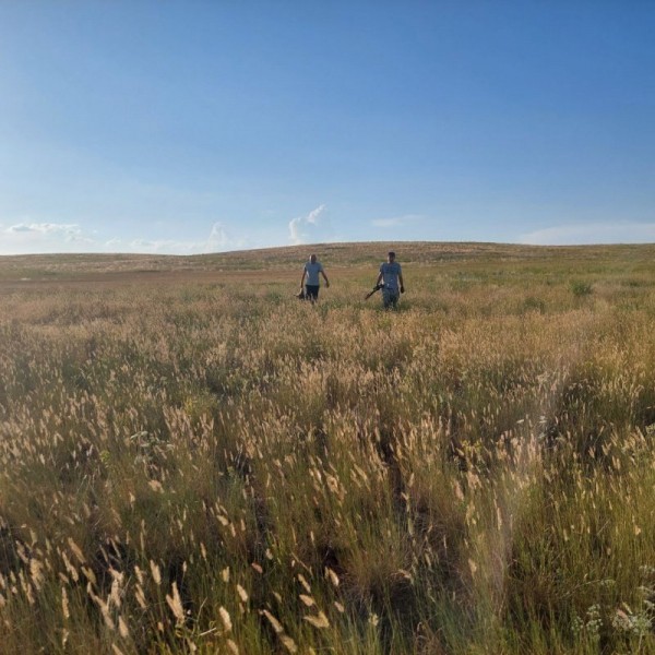 Холодное с горячим... Холодное с горячим...