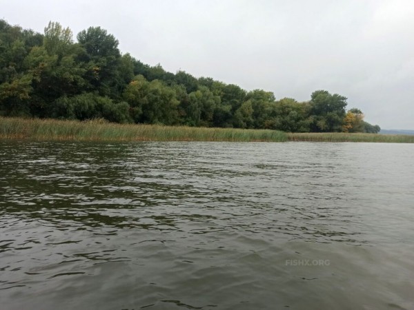 Ловля на блесну-вертушку Ловля на блесну-вертушку