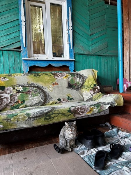 Ради звуков гусиного гомона. Весна 2023 Ради звуков гусиного гомона. Весна 2023