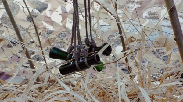 Хорошее утро! Хорошее утро!