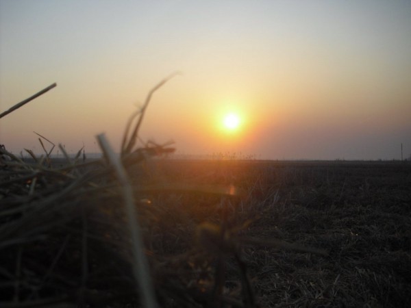 Хмурая весна или необычный сезон охоты.