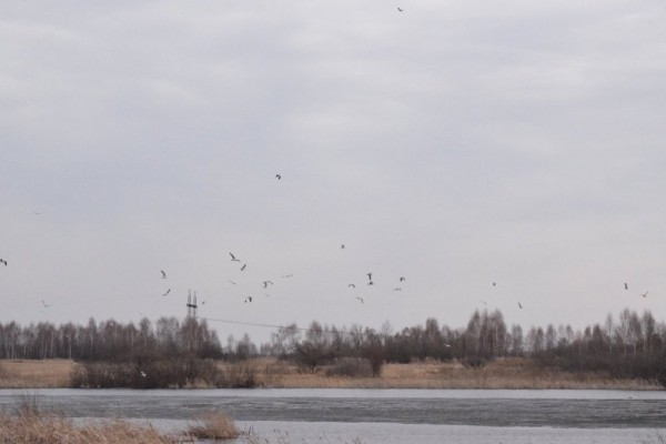 Пошла жара))) Пошла жара)))