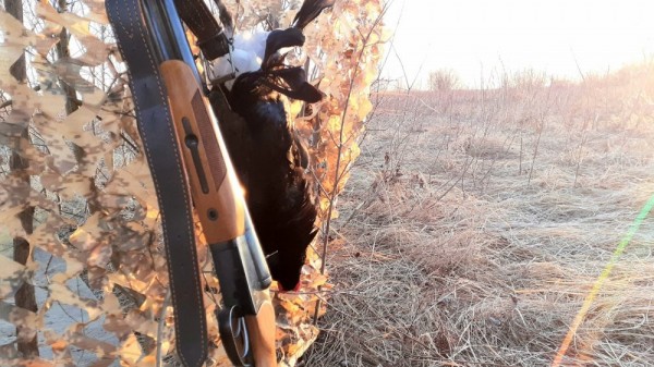 Весенние моменты Охоты!  *2023*