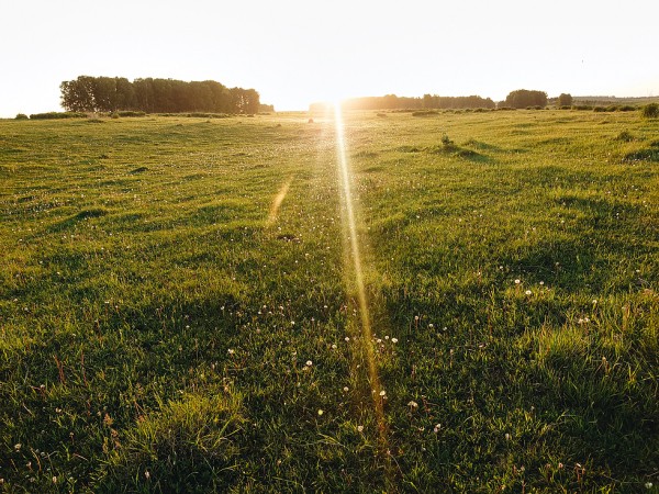 Открытие охоты на сурка с мелкашкой