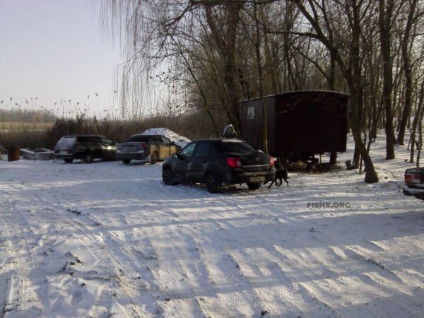 Ловля щуки жерлицами на бывшем колхозном пруду Ловля щуки жерлицами на бывшем колхозном пруду
