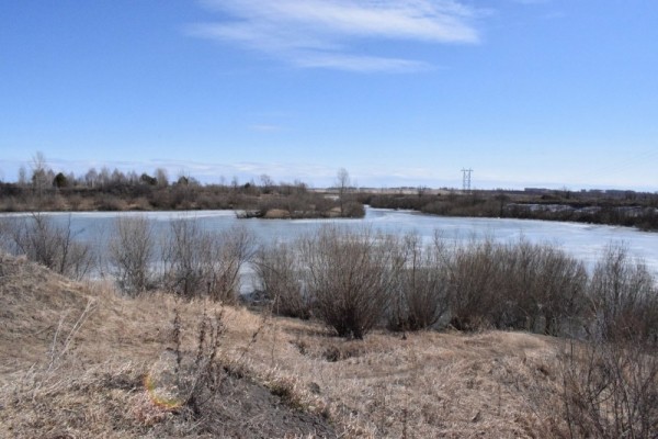 Вот и ледоход,ждём массу уток и гусей))) Вот и ледоход,ждём массу уток и гусей)))