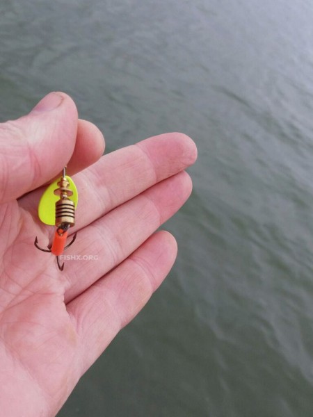 Ловля на блесну-вертушку Ловля на блесну-вертушку