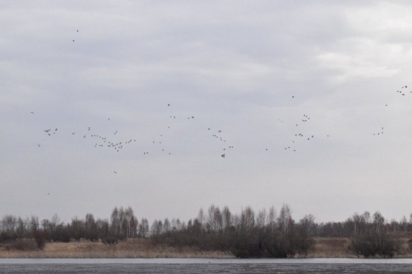 Пошла жара))) Пошла жара)))