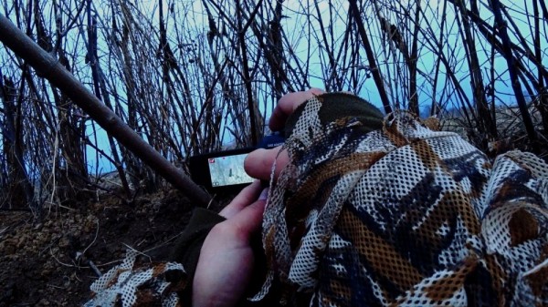 Вечер на тяге и тетеревиный ток Вечер на тяге и тетеревиный ток