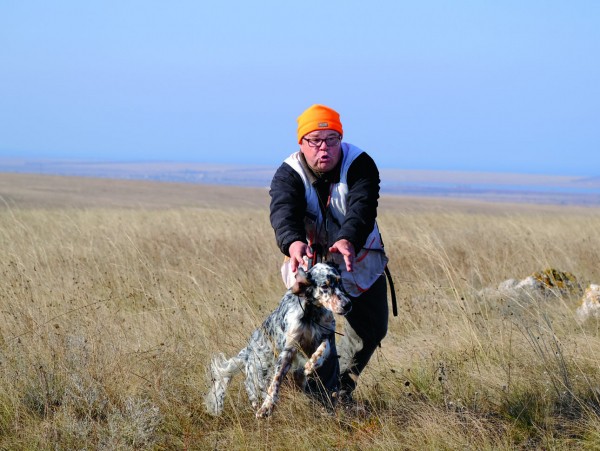 Икона стиля или пародия на породу?Хотелось бы уйти от затертых фраз о том, какая это замечательная порода —  английский сеттер. Об этом много написано. Лучше посмотрим на оборотную сторону проблемы, 
о которой не так часто говорят. Что на сегодня представляет собой поголовье английских сеттеров в России? 