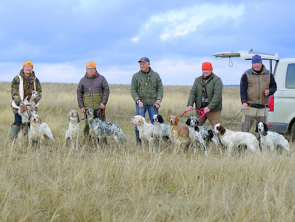 Икона стиля или пародия на породу?Хотелось бы уйти от затертых фраз о том, какая это замечательная порода —  английский сеттер. Об этом много написано. Лучше посмотрим на оборотную сторону проблемы, 
о которой не так часто говорят. Что на сегодня представляет собой поголовье английских сеттеров в России? 
