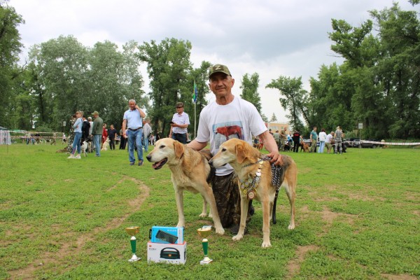 Саратовская областная выставка собак охотничьих пород-2023 В этом году зарегистрировались и прошли экспертизу в рингах 146 собак, что чуть больше, чем в прошлом году. При этом слегка изменился баланс пород Саратовская областная выставка собак охотничьих пород-2023 В этом году зарегистрировались и прошли экспертизу в рингах 146 собак, что чуть больше, чем в прошлом году. При этом слегка изменился баланс пород