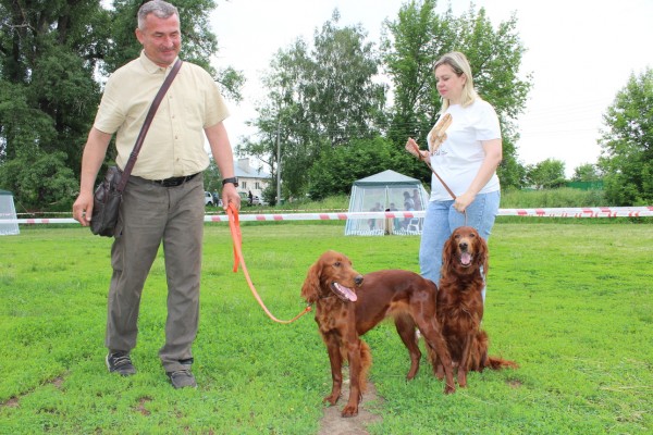 Саратовская областная выставка собак охотничьих пород-2023 В этом году зарегистрировались и прошли экспертизу в рингах 146 собак, что чуть больше, чем в прошлом году. При этом слегка изменился баланс пород Саратовская областная выставка собак охотничьих пород-2023 В этом году зарегистрировались и прошли экспертизу в рингах 146 собак, что чуть больше, чем в прошлом году. При этом слегка изменился баланс пород