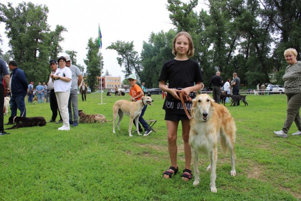 Саратовская областная выставка собак охотничьих пород-2023 В этом году зарегистрировались и прошли экспертизу в рингах 146 собак, что чуть больше, чем в прошлом году. При этом слегка изменился баланс пород Саратовская областная выставка собак охотничьих пород-2023 В этом году зарегистрировались и прошли экспертизу в рингах 146 собак, что чуть больше, чем в прошлом году. При этом слегка изменился баланс пород