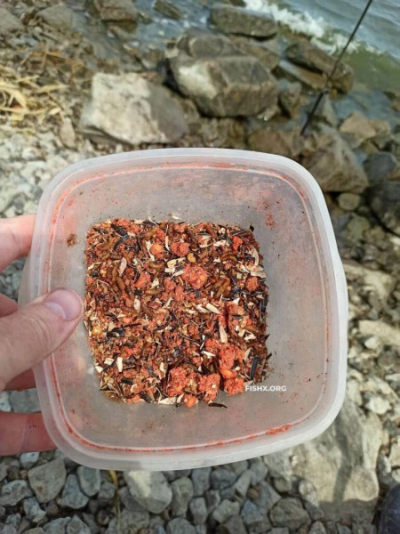 Непредсказуемый подлещ