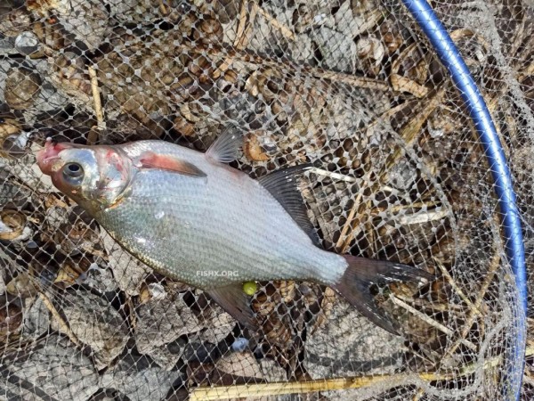 На каменистом берегу плотины водохранилища