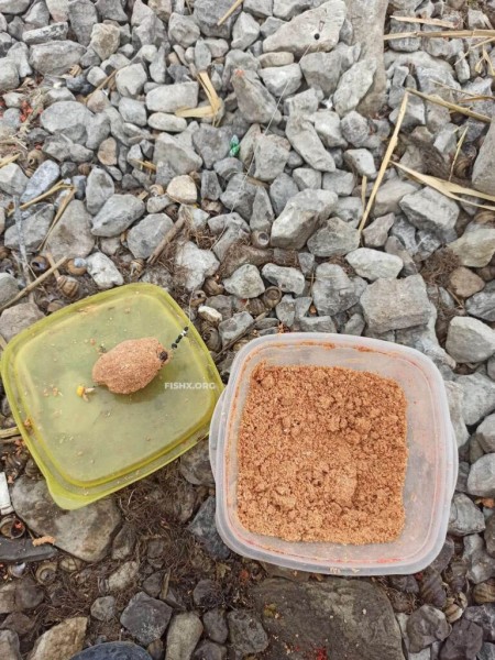 Непредсказуемый подлещ