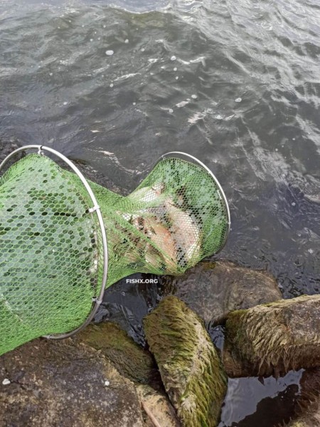 На каменистом берегу плотины водохранилища