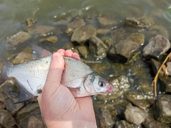 На каменистом берегу плотины водохранилища